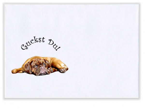Bedruckter Briefumschlag Mit Motiv Fauler Hund Witzig
