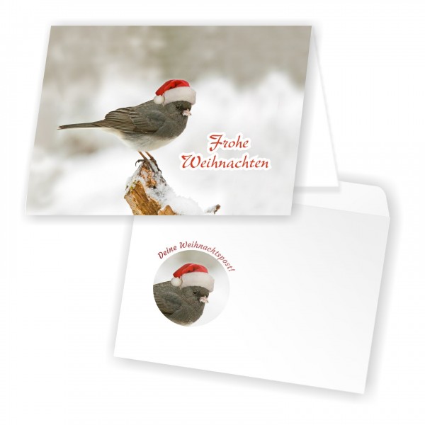 Weihnachtskarten Umschlag Weihnachtsvogel Süss