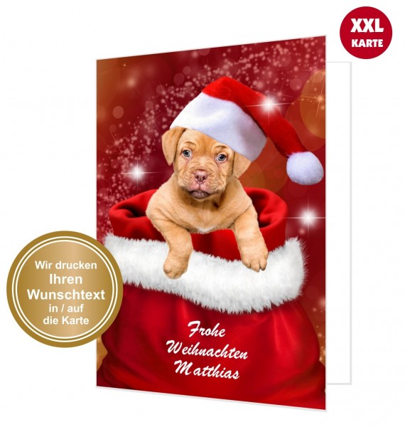 Lustige Weihnachtskarte Hund Im Weihnachtssack